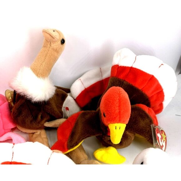 TY Beanie Babies Birds Lot of 9 Vintage - Picture 3 of 6